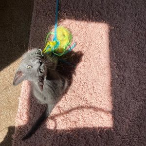 Meet your Posher, Jayda